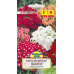 Семена Флокс друммонда Бьюти смесь (N.L. Chrestensen), 0,3 г, РБ
