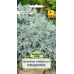 Семена Цинерария приморская Кэндикэнс (W. Legutko) 0,1 г, РБ