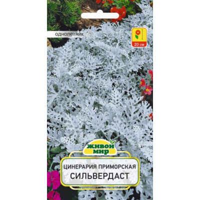 Семена Цинерария приморская Сильвердаст (W. Legutko) 0,1 г, РБ
