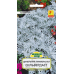 Семена Цинерария приморская Сильвердаст (W. Legutko) 0,1 г, РБ
