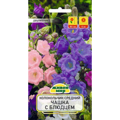 Колокольчик средний Чашка с блюдцем, смесь оттенков 0,2г (W. Legutko, Польша)