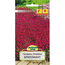 Гвоздика травянка Бриллиант 0,2г (W. Legutko, Польша)