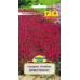 Гвоздика травянка Бриллиант 0,2г (W. Legutko, Польша) Гвоздика травянка Бриллиант 0,2г (W. Legutko, Польша)