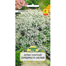 Семена Кермек татарский Серебристо-белый (W. Legutko) 0,1 г, РБ
