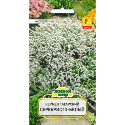 Семена Кермек татарский Серебристо-белый (W. Legutko) 0,1 г, РБ