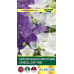Колокольчик карпатский, смесь сортов 0,1 г (W. Legutko, Польша)