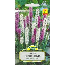 Семена Лиатрис колосковый смесь сортов (W. Legutko) 0,3 г, РБ