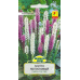 Семена Лиатрис колосковый смесь сортов (W. Legutko) 0,3 г, РБ Семена Лиатрис колосковый смесь сортов (W. Legutko) 0,3 г, РБ