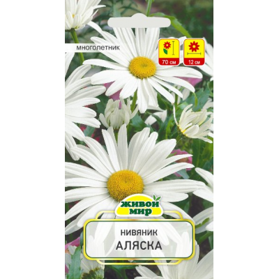 Семена Нивяник наибольший Аляска (W. Legutko) 0,5 г, РБ