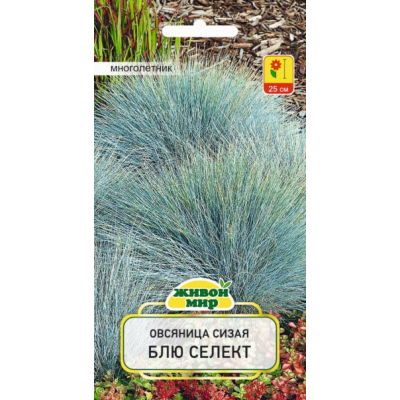 Семена Овсяница сизая Блю селект (W. Legutko) 0,2 г, РБ