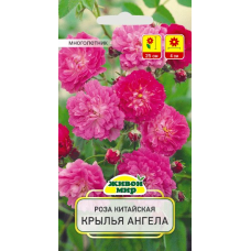 Семена Роза китайская Крылья Ангела (W. Legutko) 10 шт, РБ