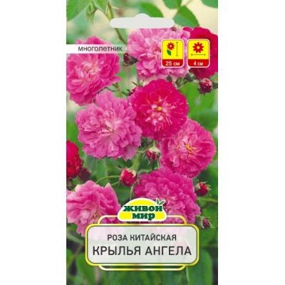 Семена Роза китайская Крылья Ангела (W. Legutko) 10 шт, РБ