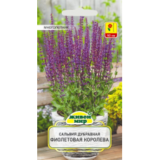 Семена Сальвия дубравная Фиолетовая Королева (W. Legutko) 0,3 г, РБ