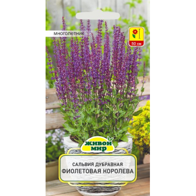Семена Сальвия дубравная Фиолетовая Королева (W. Legutko) 0,3 г, РБ