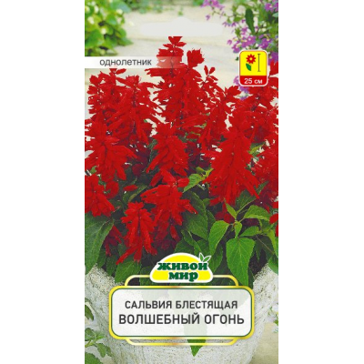 Семена Сальвия блестящая Волшебный огонь (W. Legutko) 0,2 г, РБ