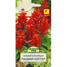 Семена Сальвия блестящая Ранний костер (W. Legutko) 0,2 г, РБ