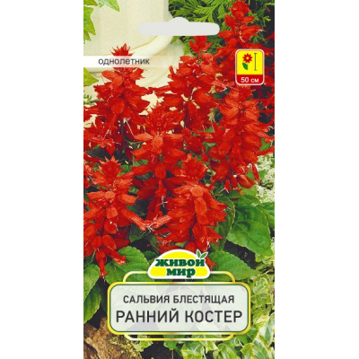 Семена Сальвия блестящая Ранний костер (W. Legutko) 0,2 г, РБ