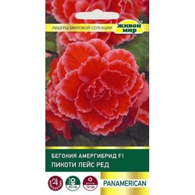Бегония амергибрид Пикоти Лейс Ред F1 , 5 семян (PanAmerican Seed - Живой Мир)