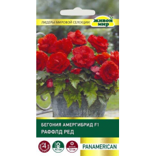 Бегония амергибрид Раффлд Ред F1, 5 семян (PanAmerican Seed, США)