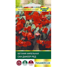 Бегония ампельная Сан Дансер Ред F1, 5 семян (PanAmerican Seed - Живой мир)