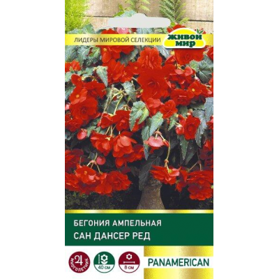 Бегония ампельная Сан Дансер Ред F1, 5 семян (PanAmerican Seed - Живой мир)
