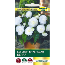 Бегония клубневая крупноцветковая Белая, 10 семян (Cerny seed, Чехия)