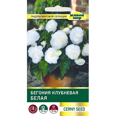 Бегония клубневая крупноцветковая Белая, 10 семян (Cerny seed, Чехия)