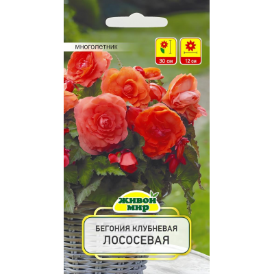 Бегония клубневая крупноцветковая Лососевая, 10 семян (Cerny seed, Живой мир)