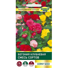 Бегония клубневая крупноцветковая Смесь сортов, 10 семян (Cerny seed, Чехия)