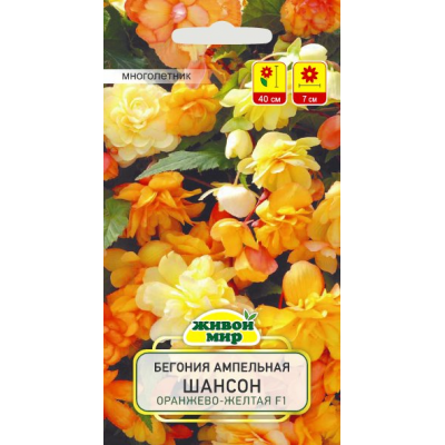 Семена Бегония клубневая ампельная Шансон Двуцветная оранжево-желтая F1 (Cerny seed) 10 шт, РБ