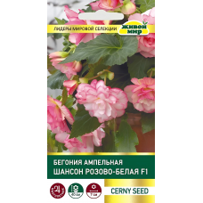 Бегония клубневая ампельная Шансон Двуцветная розово-белая F1, 10 семян (Cerny seed, Чехия)