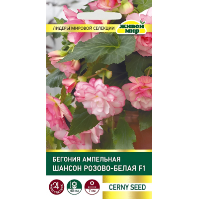 Бегония клубневая ампельная Шансон Двуцветная розово-белая F1, 10 семян (Cerny seed, Чехия)
