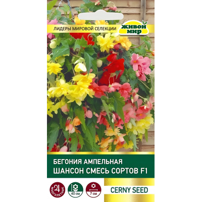 Бегония клубневая ампельная Шансон Смесь F1, 10 семян (Cerny seed, Чехия)