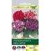 Семена Глоксиния Брокада F1 смесь сортов (Sakata) 5 шт, РБ Семена Глоксиния Брокада F1 смесь сортов (Sakata) 5 шт, РБ