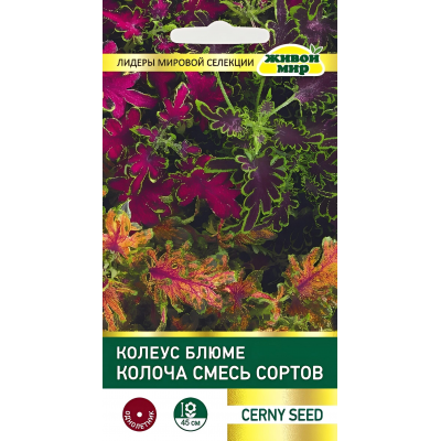 Колеус блюме Колоча, cмесь сортов,  10 семян (Cerny seed, Чехия)