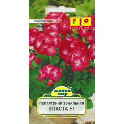 Семена Пеларгония зональная Власта F1 (Cerny seed) 3 шт, РБ