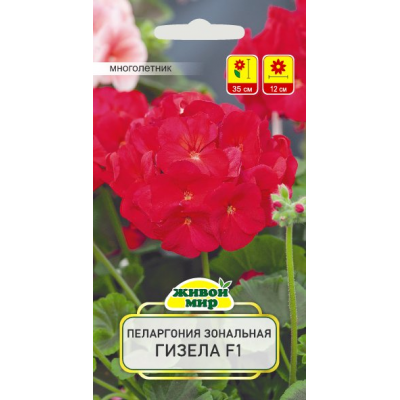 Семена Пеларгония зональная Гизела F1 (Cerny seed) 3 шт, РБ