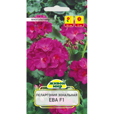 Семена Пеларгония зональная Ева F1 (Cerny seed) 3 шт, РБ