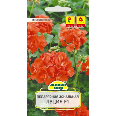 Семена Пеларгония зональная Луция F1 (Cerny seed) 3 шт, РБ