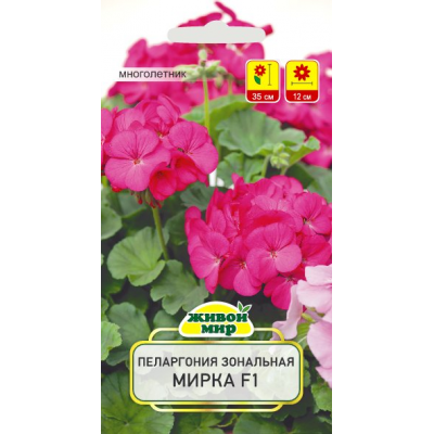 Семена Пеларгония зональная Мирка F1 (Cerny seed) 3 шт, РБ