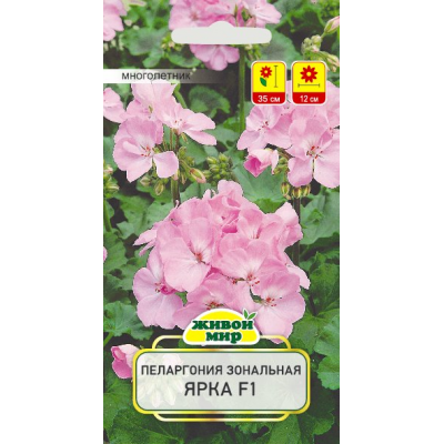 Семена Пеларгония зональная Ярка F1 (Cerny seed) 3 шт, РБ