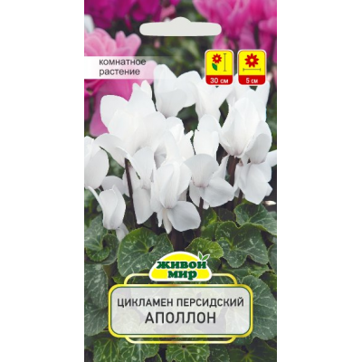 Семена Цикламен персидский Аполлон (Cerny seed) 3 шт, РБ