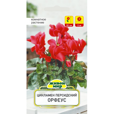 Семена Цикламен персидский Орфеус (Cerny seed) 3 шт, РБ