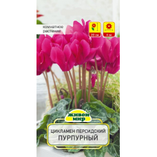 Семена Цикламен персидский Пурпурный (Cerny seed) 3 шт, РБ