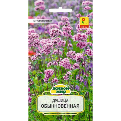 Семена Душица обыкновенная (W. Legutko) 0,1 г, РБ