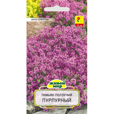 Семена Тимьян ползучий Пурпурный (W. Legutko) 0,1 г, РБ