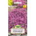 Семена Тимьян ползучий Пурпурный (W. Legutko) 0,1 г, РБ Семена Тимьян ползучий Пурпурный (W. Legutko) 0,1 г, РБ