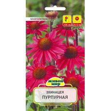 Семена Эхинацея пурпурная (W. Legutko) 0,5 г, РБ
