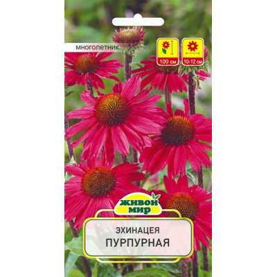 Семена Эхинацея пурпурная (W. Legutko) 0,5 г, РБ