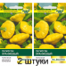 Патиссон Оранжевый, 1г (W. Legutko, Польша) -2шт Патиссон Оранжевый, 1г (W. Legutko, Польша) -2шт